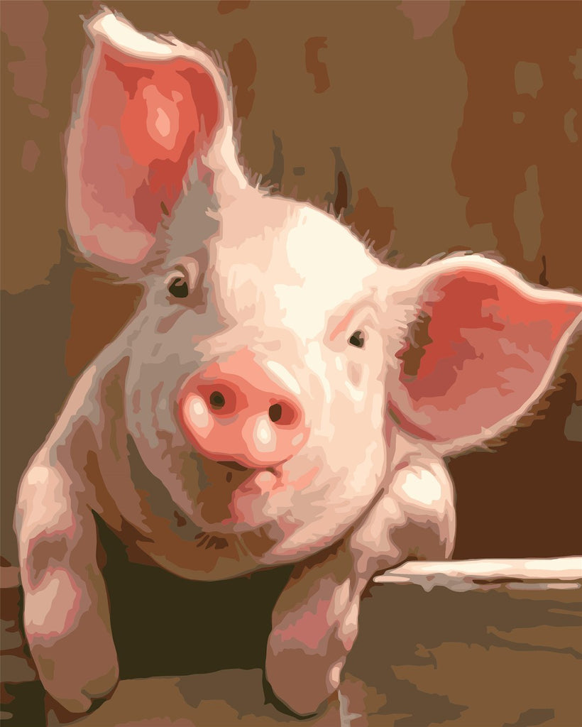 Cerdo Adorable de Color Rosado Pintar por Números