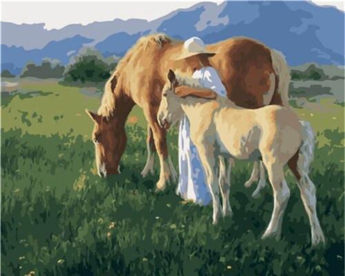 Chica y Dos Caballos en el Césped Pintar por Números