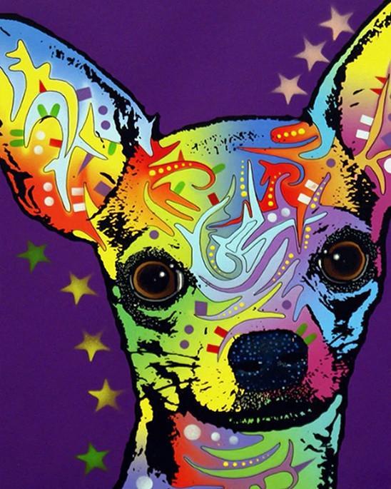 Chihuahua Colorido en Fondo Morado Pintar por Números