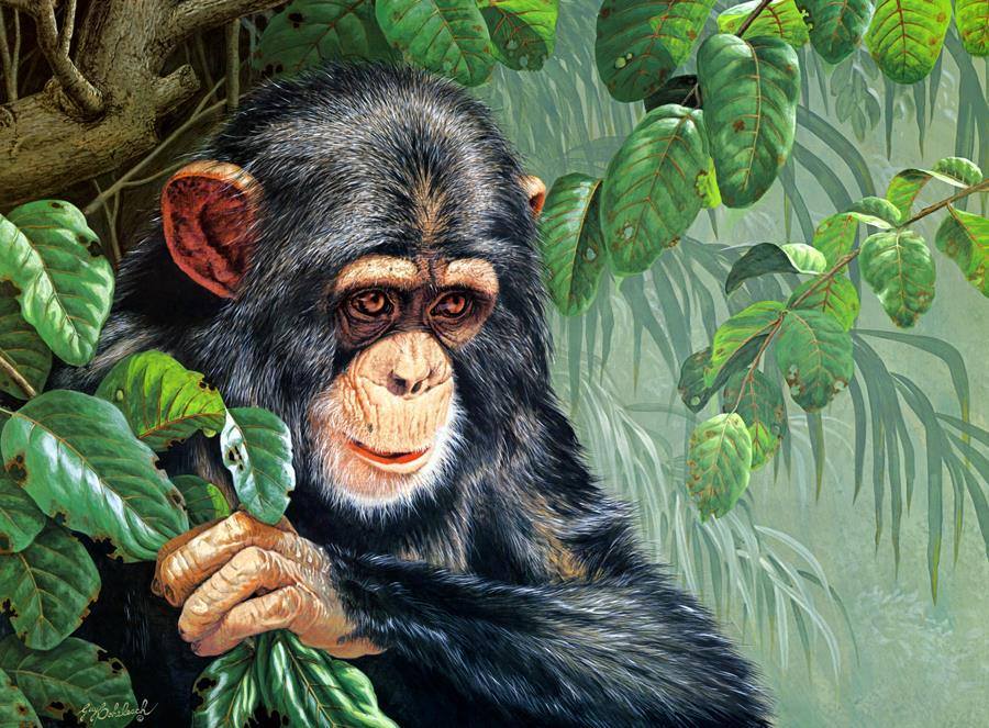 Chimpancé sobre Árbol de Hojas Verdes Pintar por Números