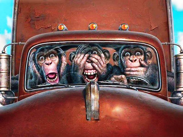 Chimpancés con Miedo en Coche Rojo Pintar por Números
