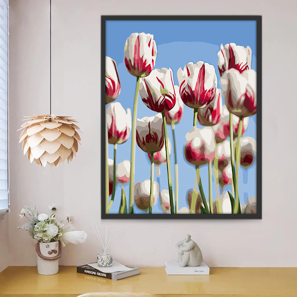 Cielo Azul y Tulipanes de Color Blanco y Rojo Pintar por Números