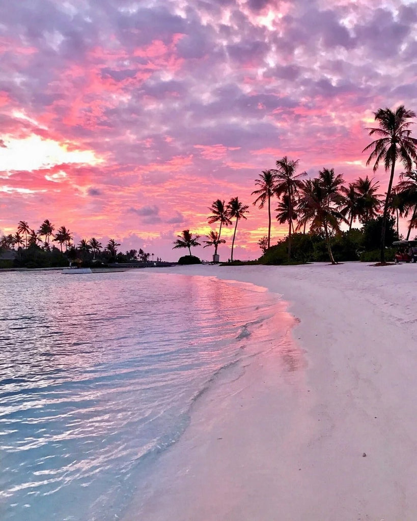 Cielo Rosado y Siluetas de Palmeras Pintar por Números