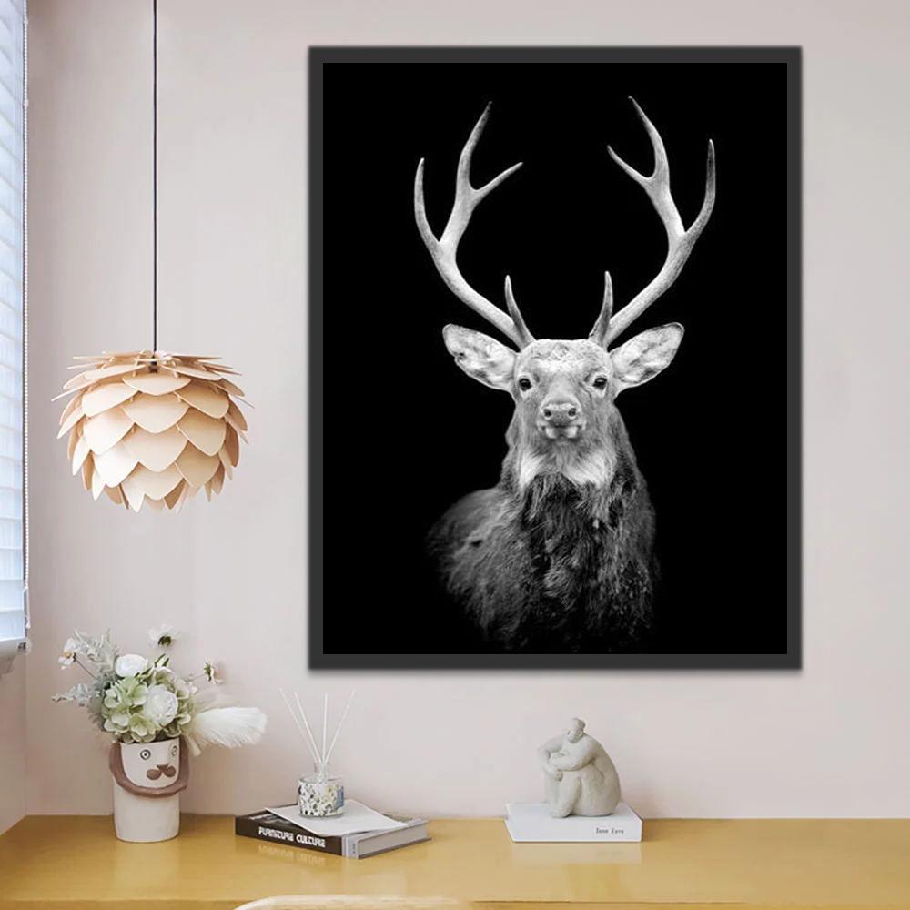 Ciervo en Blanco y Negro en Oscuridad Pintar por Números