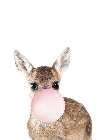 Ciervo Pequeño Adorable con Burbuja Rosada de Chicle Pintar por Números