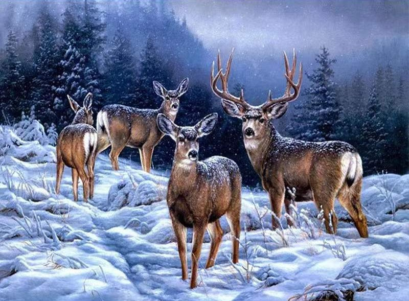 Ciervos en la Nieve con Fondo de Bosque Pintar por Números