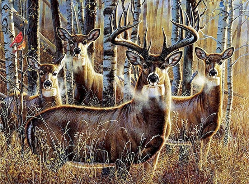 Ciervos entre Árboles de Otoño Pintar por Números