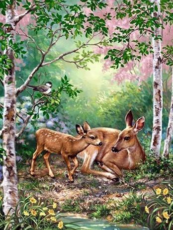 Ciervos sobre el Césped de Bosque Pintar por Números