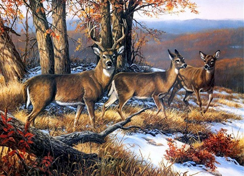 Ciervos y Árboles sobre Montaña en Invierno Pintar por Números