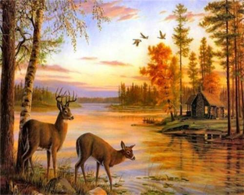 Ciervos y Arroyo al Atardecer Pintar por Números