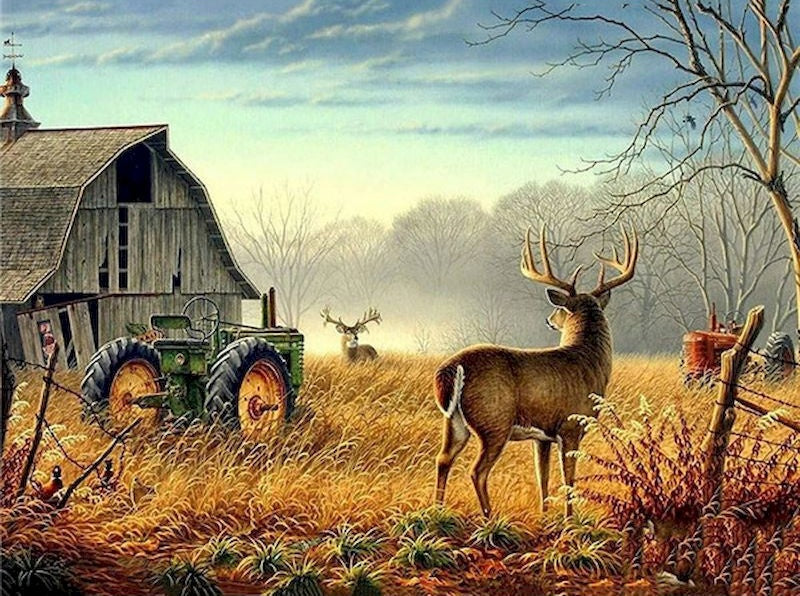 Ciervos y Casa de Granja en Otoño Pintar por Números