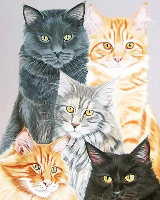 Cinco Gatos Diferentes Pintar por Números