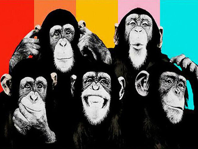 Cinco Monos en Blanco y Negro con Fondo Colorido Pintar por Números