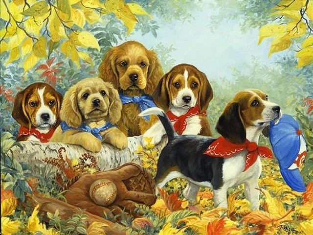 Cinco Perros en el Bosque Pintar por Números