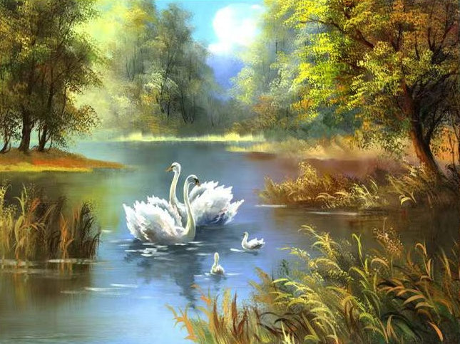 Cisnes Blancos en el Lago de Bosque Pintar por Números