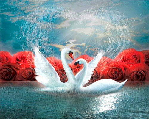 Cisnes de Amor y Rosas Rojas Pintar por Números