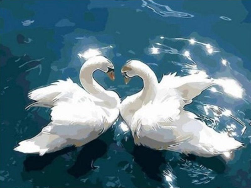 Cisnes Enamorados en Lago Azul Pintar por Números