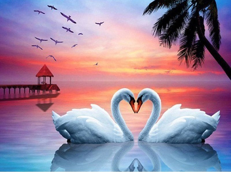 Cisnes Enamorados y Puesta del Sol Pintar por Números