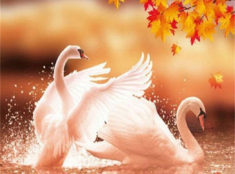 Cisnes y Hojas Rojas de Arce Pintar por Números