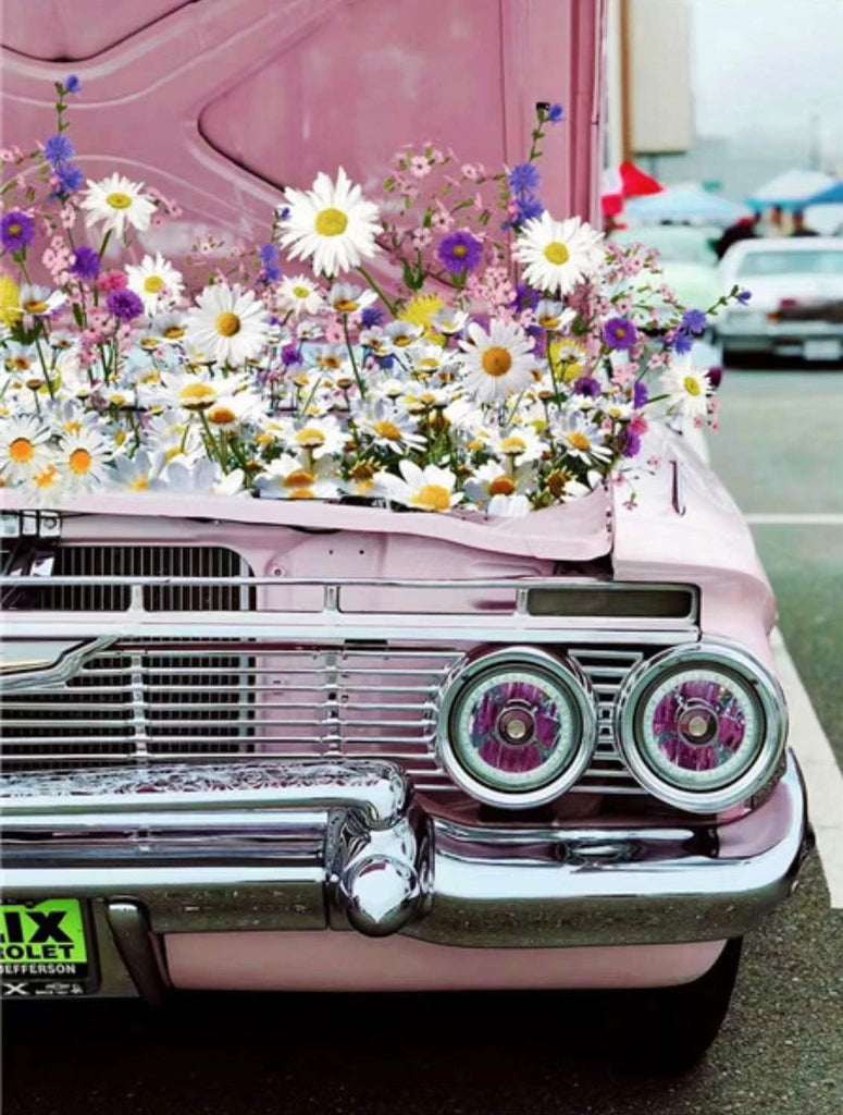 Coche Rosado Decorado con Camomilas Pintar por Números