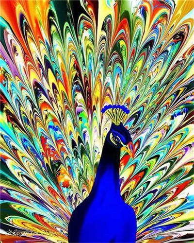 Cola Colorida Abierta de Pavo Real Pintar por Números
