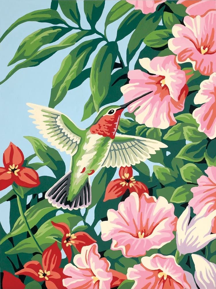 Colibrí Bebiendo Néctar de Flores Pintar por Números