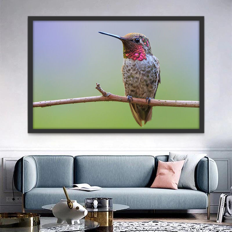 Colibrí Lindo sobre Rama de Árbol Pintar por Números