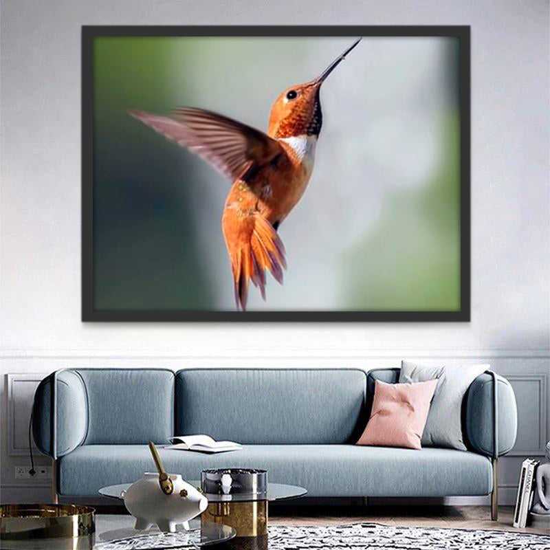 Colibrí Rojo Volando Pintar por Números