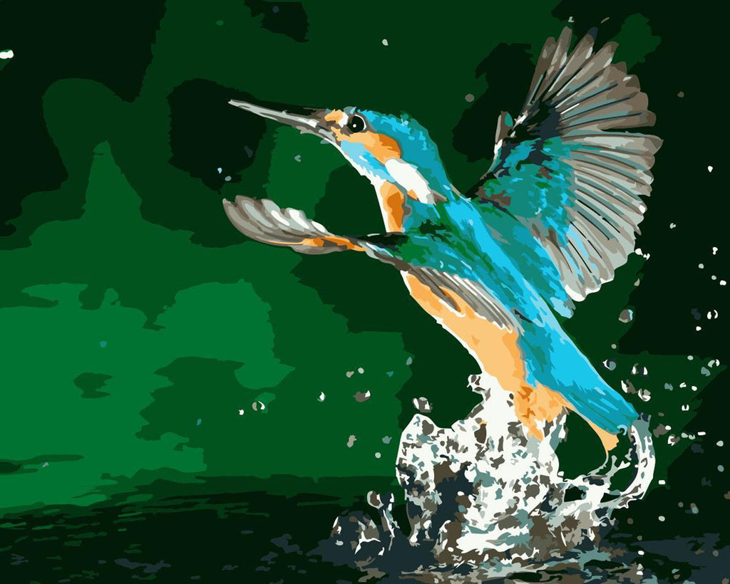 Colibrí Volando de Agua Pintar por Números