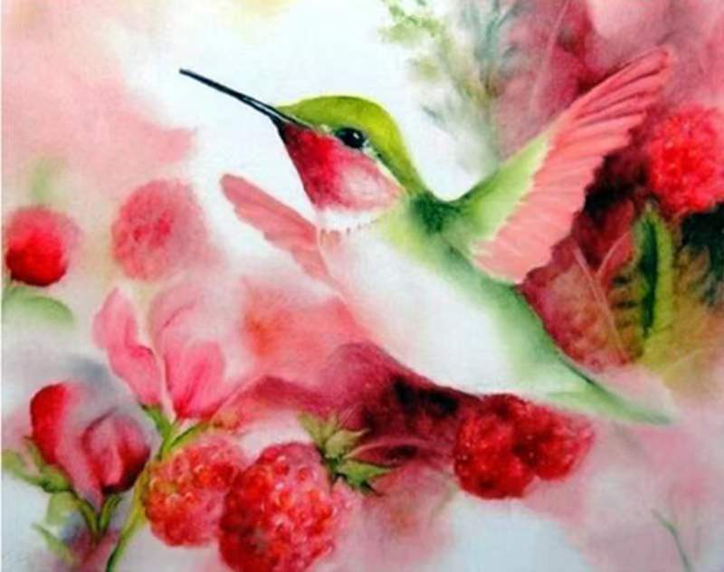 Colibrí Volando y Bayas Pintar por Números