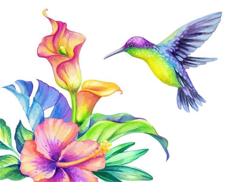 Colibrí y Calla Pintar por Números