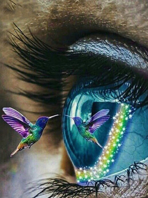 Colibrí y Ojo de Mujer Pintar por Números