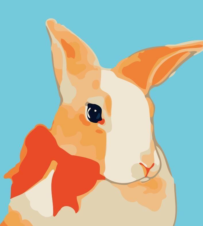Conejo Anaranjado y Lazo Rojo en el Fondo Azul Pintar por Números Niños
