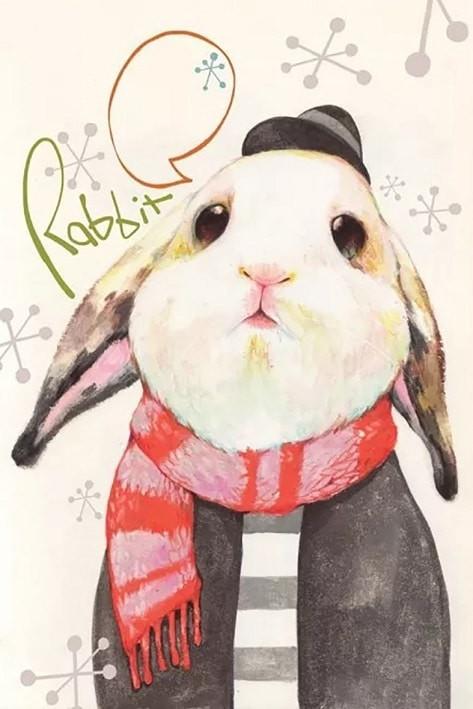 Conejo con Bufanda Roja y Ropa en el Invierno Pintar por Números
