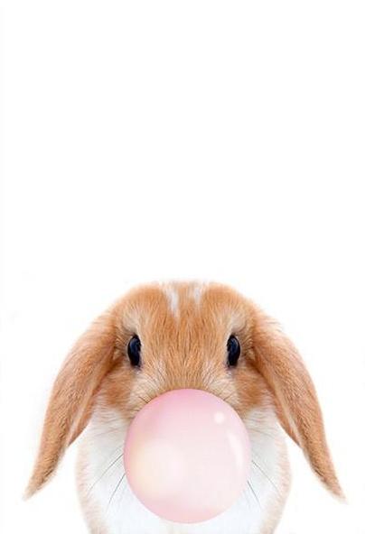 Conejo Pequeño con Burbuja Rosada de Chicle Pintar por Números