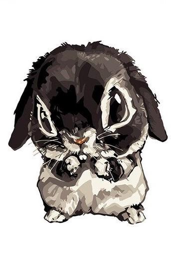 Conejo Pequeño Lindo de Color Blanco y Negro Pintar por Números