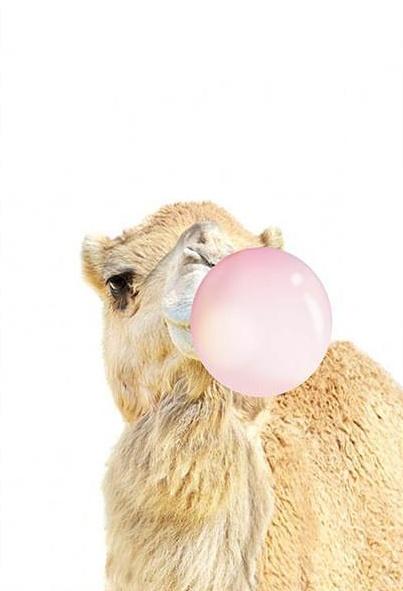 Conejo y Burbuja Rosada de Chicle Pintar por Números