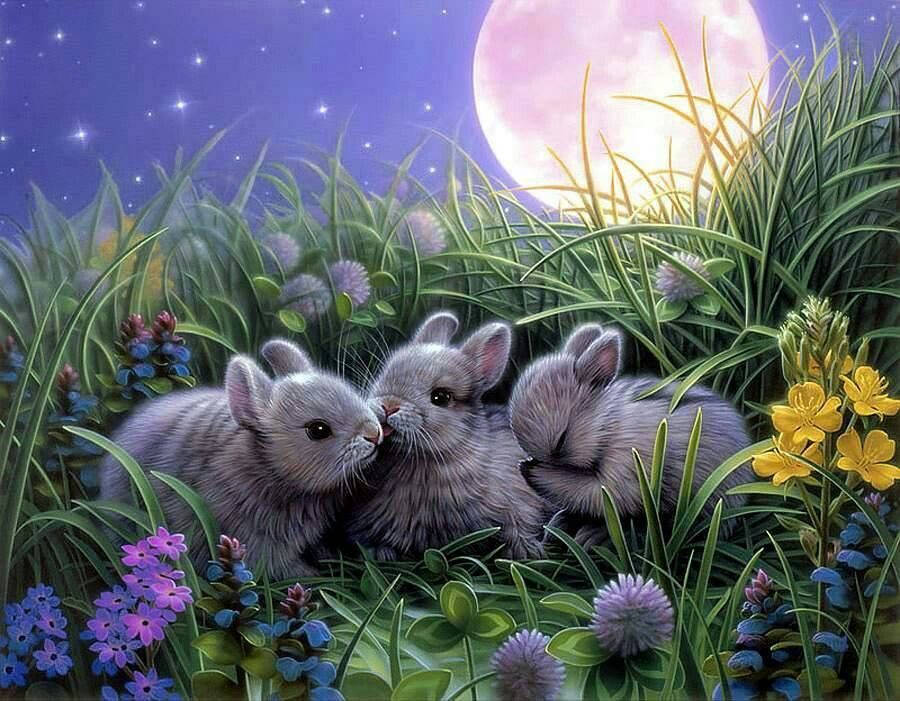 Conejos Pequeños en el Césped a Luz de la Luna Pintar por Números