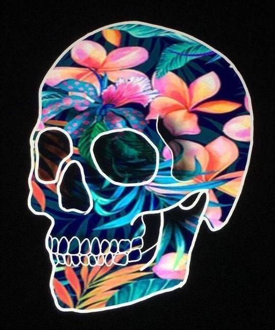 Cráneo de Flor de Plumeria y Hojas Pintar por Números