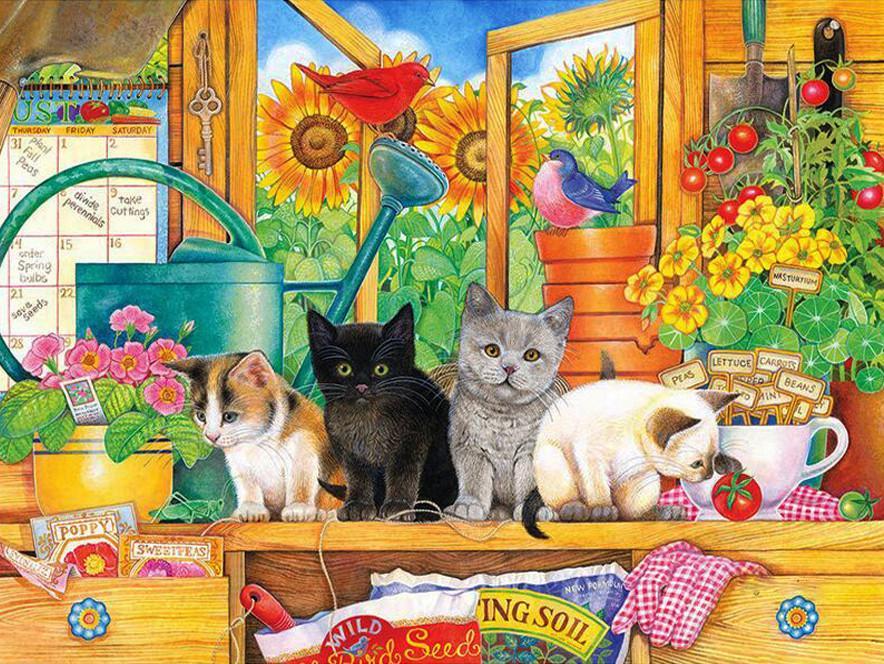 Cuatro Gatos Sentados sobre La Mesa de Habitación Pintar por Números