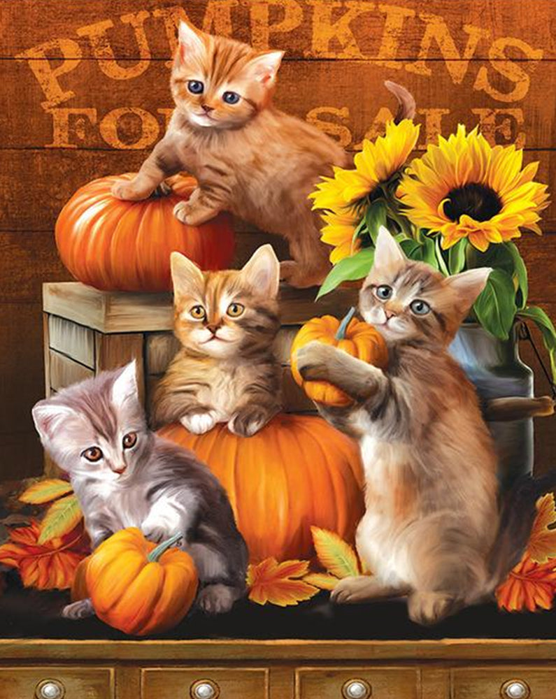 Cuatro Gatos y Calabazas Pintar por Números