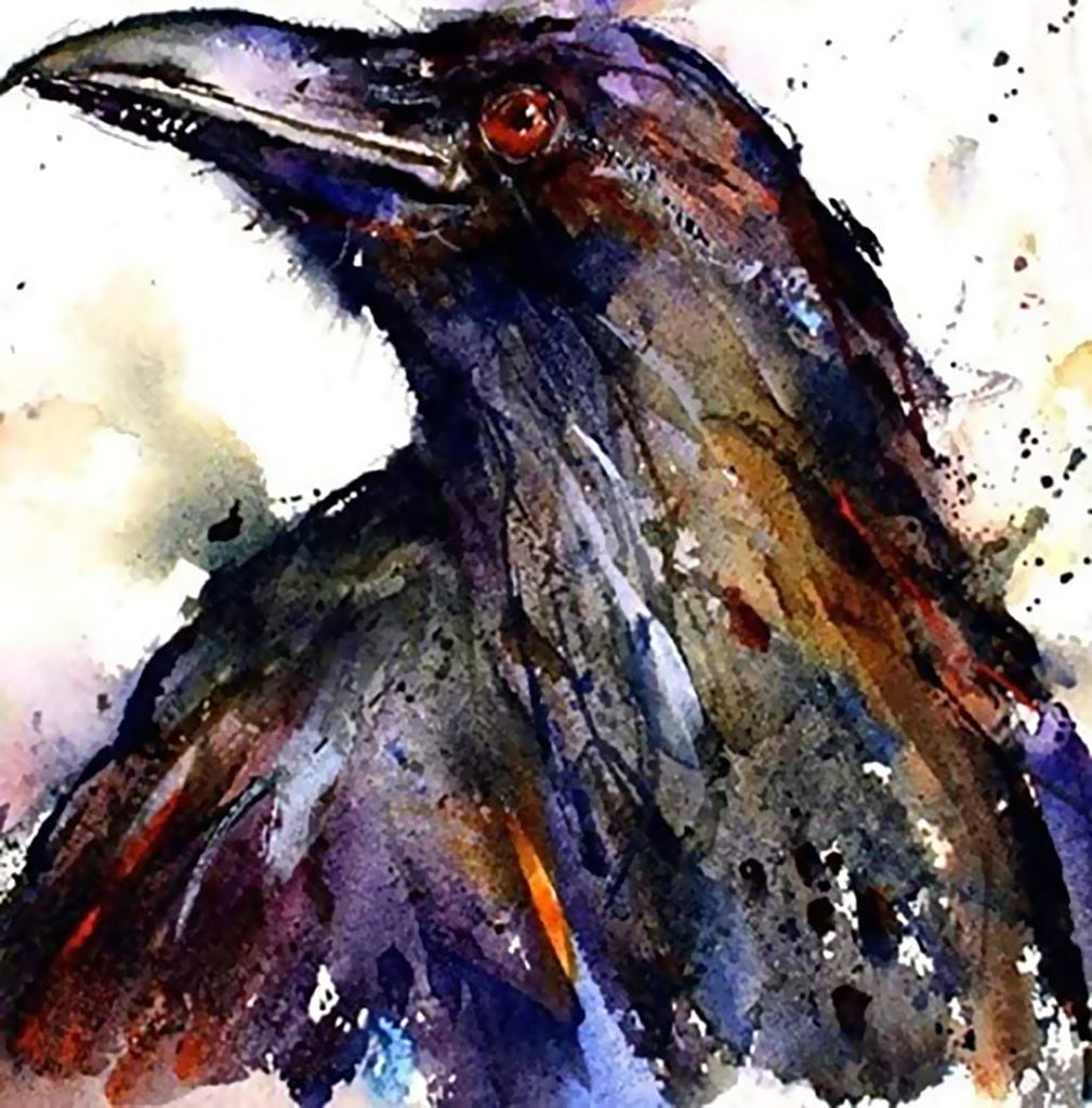 Cuervo Oscuro Pintar por Números