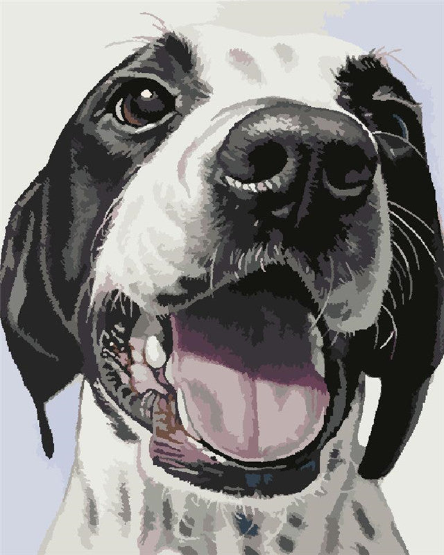 Dálmata Adorable Pintar por Números