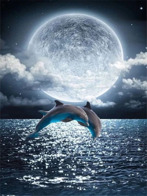 Delfines a la Luz de la Luna Pintar por Números