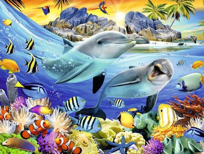 Delfines en Mar con Peces y Corales Pintar por Números