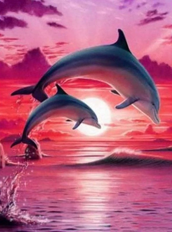 Delfines Saltando en Puesta del Sol Pintar por Números