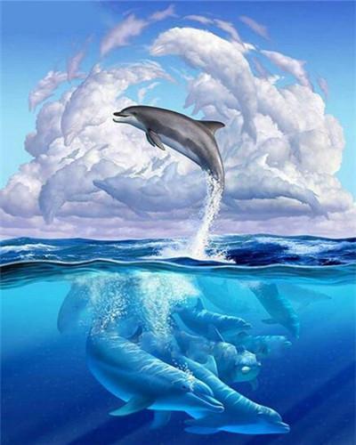 Delfines y Nubes Blancas Pintar por Números