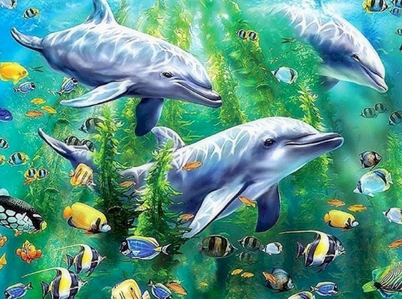 Delfines y Peces en las Algas Pintar por Números