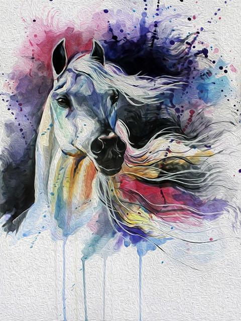 Dibujo de Acuarela de Caballo Blanco Pintar por Números