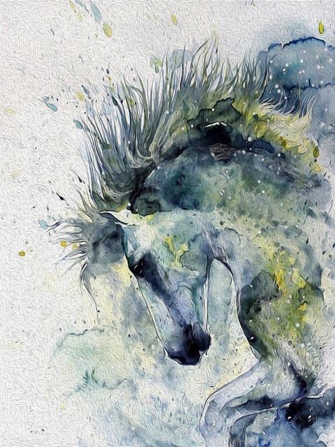 Dibujo de Acuarela de Caballo Verde y Negro Pintar por Números